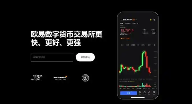 欧币钱包APP下载平台展示图